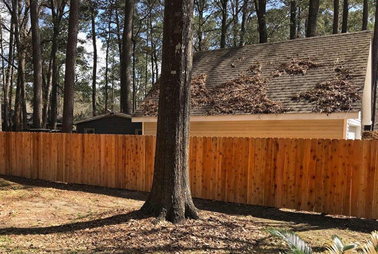 After Backyard Privacy Fence