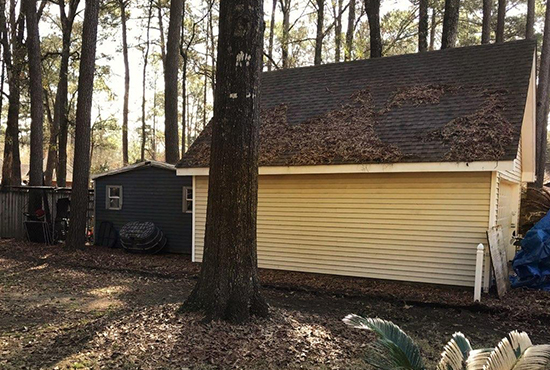 Before Backyard Privacy Fence